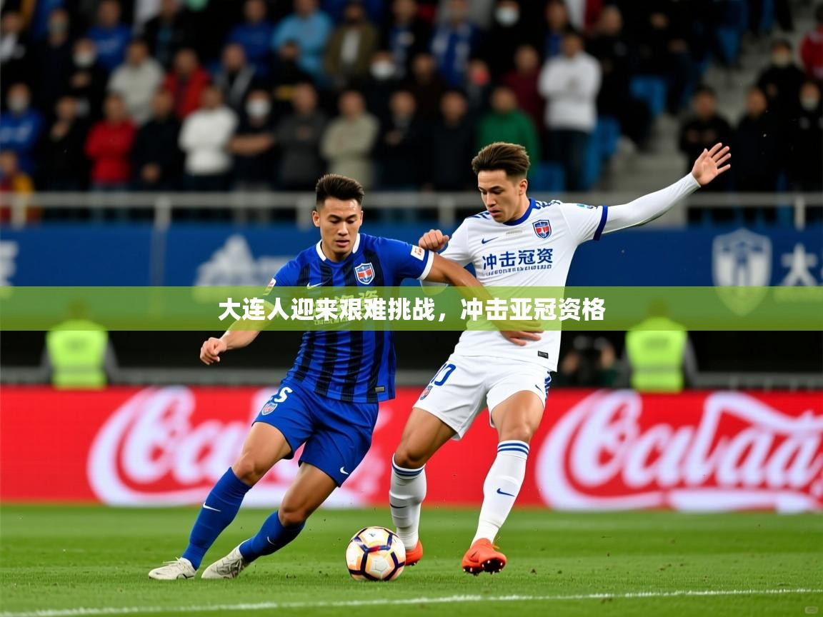 2025 完美体育在线登录大连人迎来艰难挑战,冲击亚冠资格 第3张